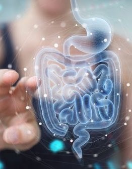 shutterstock_1647269665 - small shutterstock_1647269665 - small